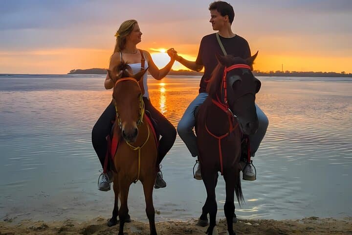 Sunrise Horseback Ride on Gili Meno Beach: 1-Hour Guided Tour photo 4