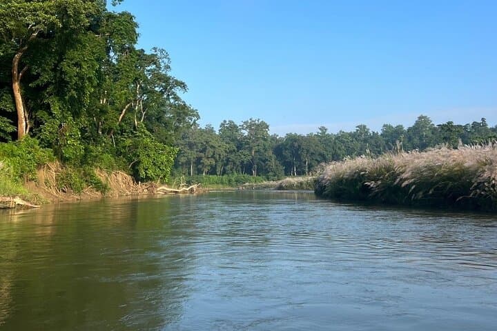 Chitwan Jungle Tower 2-Night Safari — Jeep, Canoe & Tower Sleep in CNP photo 4