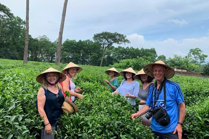 Bavi Eco Tour From Hanoi: Authentic Tea-Farm & Village Day Trip