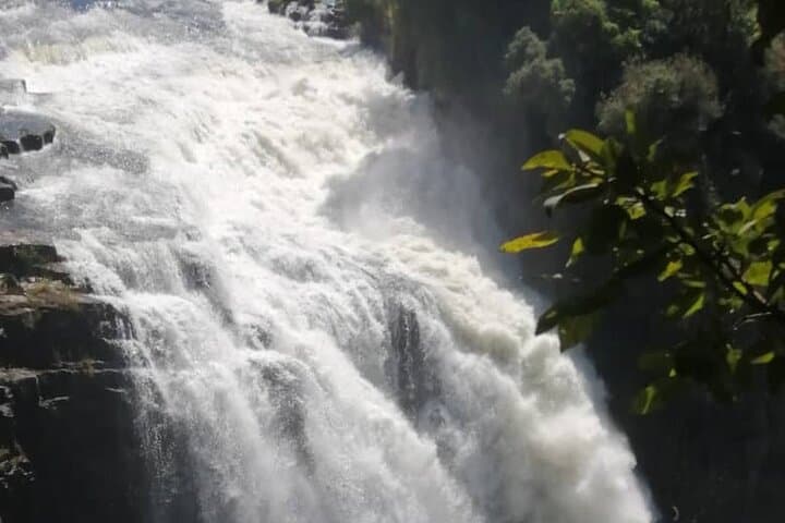 Victoria Falls (Zimbabwe Side) Guided Tour — Rainforest Walk, Big Tree & Viewpoints photo 3