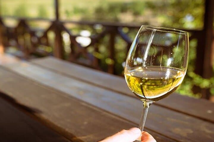 Giraffes, Cheetahs & Cape Wines: Full-Day Wildlife and Winelands Tour from Cape Town photo 2