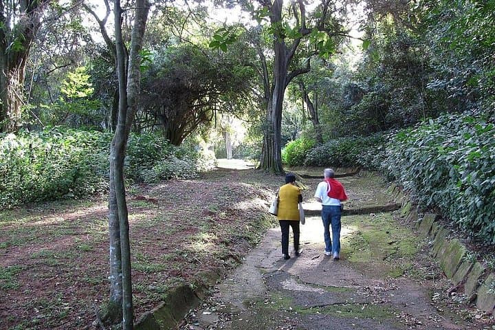 Durban Birdwatching Tour: Pigeon Valley, Botanic Gardens & Umhlanga Lagoon photo 2