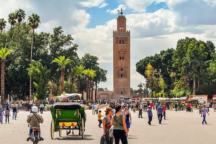 Half-Day Marrakech Highlights: Private Guided Medina, Palaces & Jemaa el-Fna