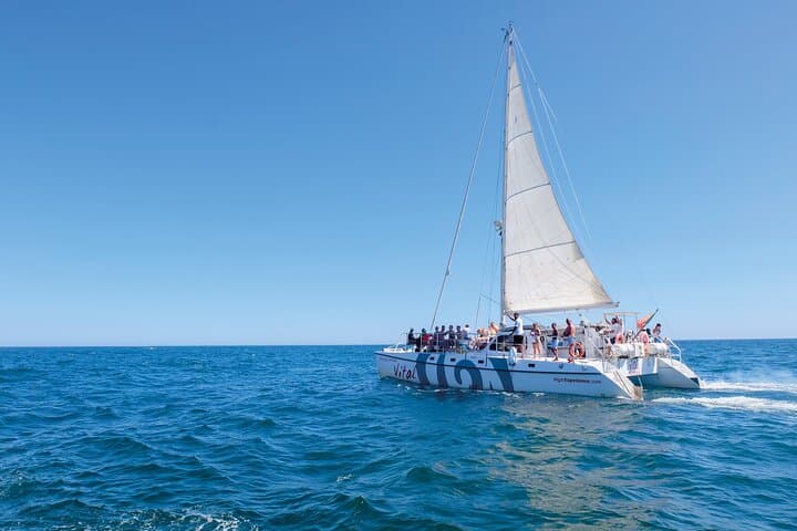 Sunset Sailing in Vilamoura: 3-Hour Algarve Catamaran Experience photo 3