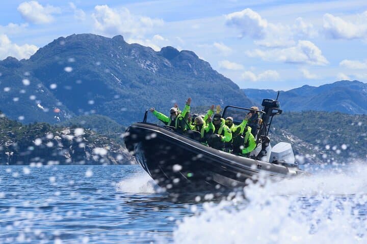Haugesund RIB Safari: High-Speed Coastal Cruise & Sea Eagle Watching photo 1