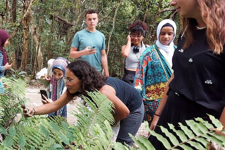 Jozani Forest Tour: Red Colobus Encounters & Mangrove Walks in Zanzibar photo 5
