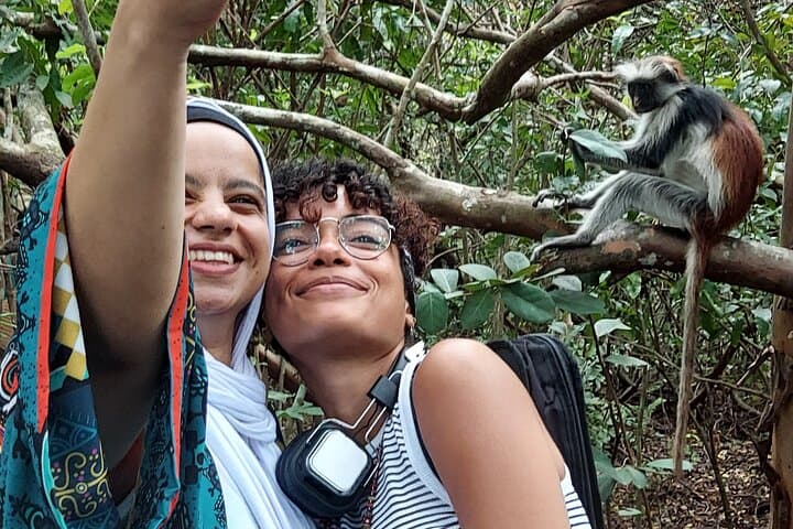 Jozani Forest Tour: Red Colobus Encounters & Mangrove Walks in Zanzibar photo 6