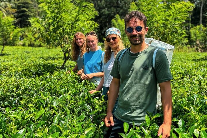 Dediyagala Village Tour: Rainforest Walks, River Bath & Traditional Sri Lankan Lunch photo 1
