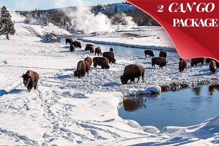 Yellowstone & Grand Teton Winter Tour — 4-Day Snow Coach Adventure photo 1