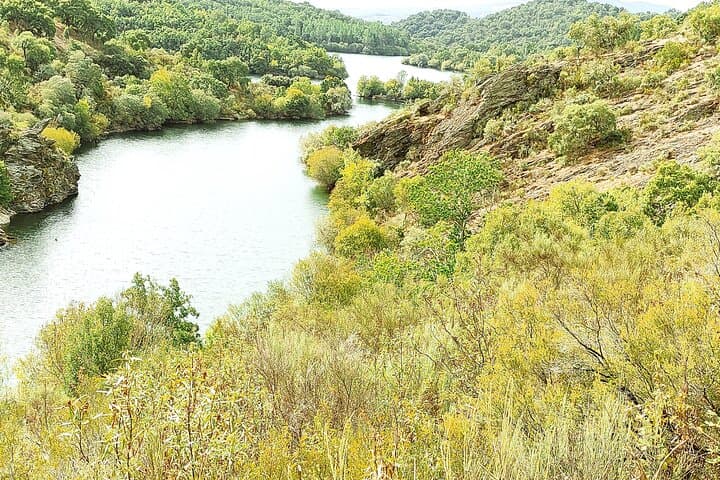 Algarve 4x4 Wine Tasting & Tapas Sunset Tour photo 5