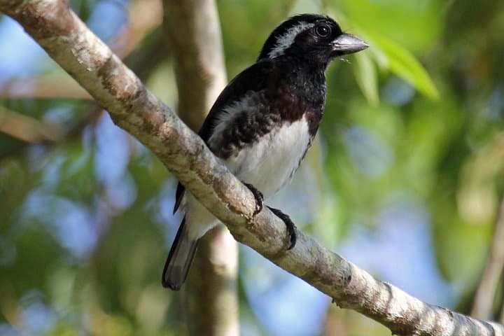 St Lucia Birdwatching Tour from Durban — Igwalagwala Trail & iSimangaliso photo 4