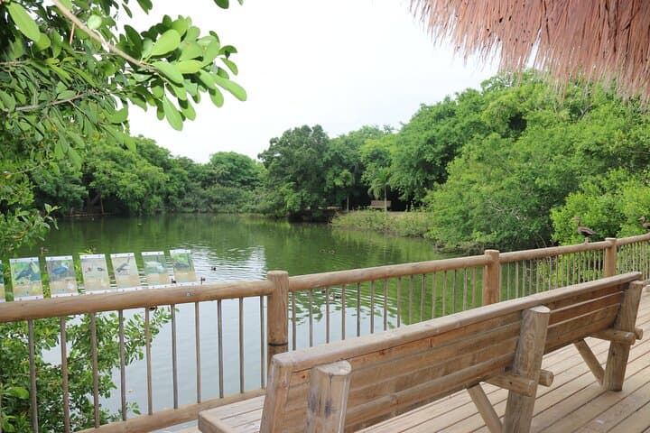 Barú Aviary and Playa Blanca Day Trip from Cartagena photo 5