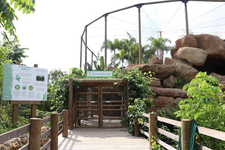 Barú Aviary and Playa Blanca Day Trip from Cartagena photo 4