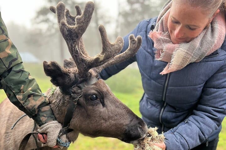 Autumn Day at Soma Hide Out — Fishing, Canoeing & Reindeer Encounters near Levi photo 3