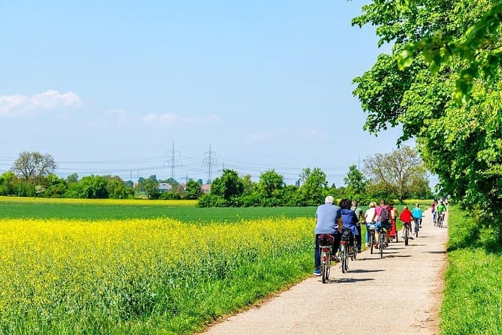 Amsterdam Waterland Bike Tour: Cheese Tasting & Historic Villages photo 1