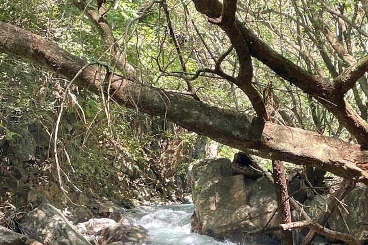Hike to La Leona Waterfall: Turquoise Pools & Canyon Trek from Liberia photo 5