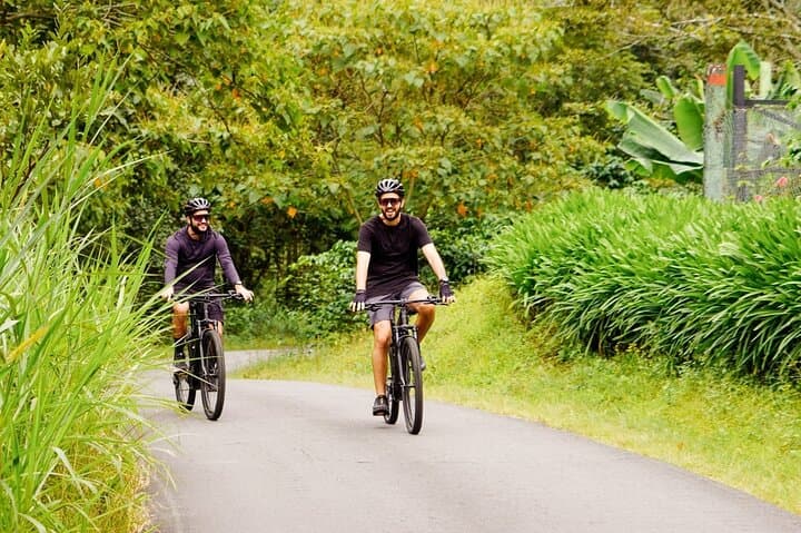 Electric Bike Rentals in Boquete: Explore Cloud-Forest Roads & Coffee Trails