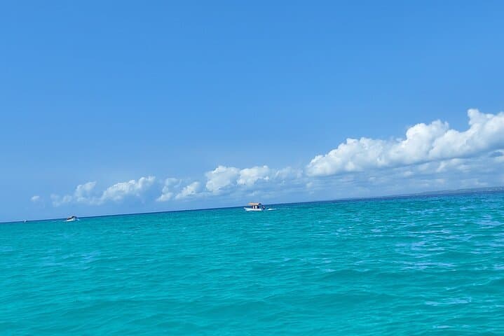 Mnemba Island Snorkeling and Dolphin Tour — Mnemba Atoll Day Trip photo 2