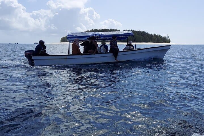 Mnemba Island Snorkeling and Dolphin Tour — Mnemba Atoll Day Trip photo 3