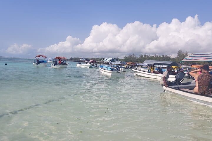 Mnemba Island Snorkeling and Dolphin Tour — Mnemba Atoll Day Trip photo 4