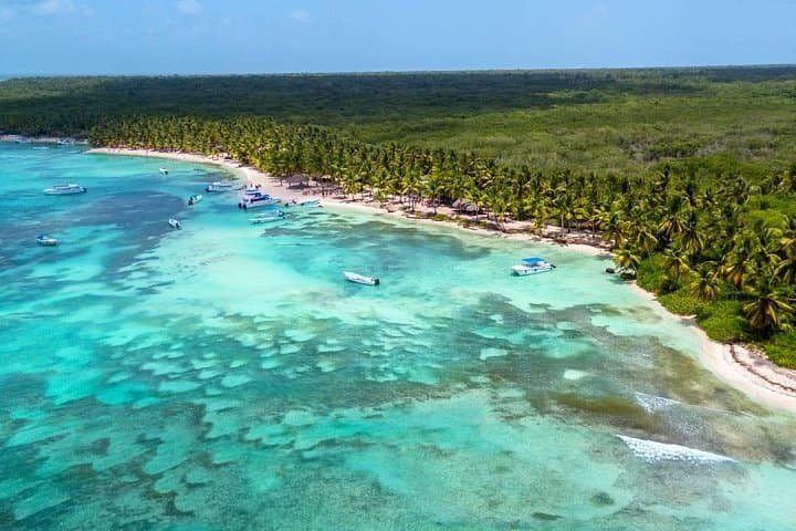 Saona Island Escape: Day Trip to Pristine Beaches and the Natural Pool