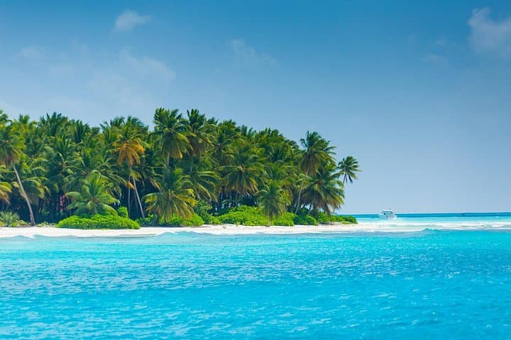 Saona Island Escape: Day Trip to Pristine Beaches and the Natural Pool photo 3
