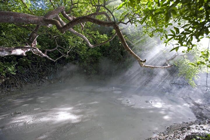 Rincón-de-la-Vieja-Volcano-and-Oropendola-Waterfall-Private-Tour