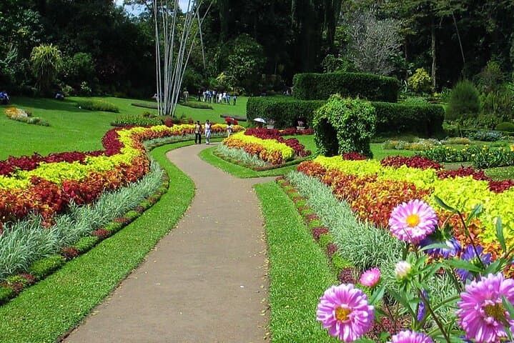 Kandy in a Day: Private All-Inclusive Tour from Colombo or Negombo photo 3