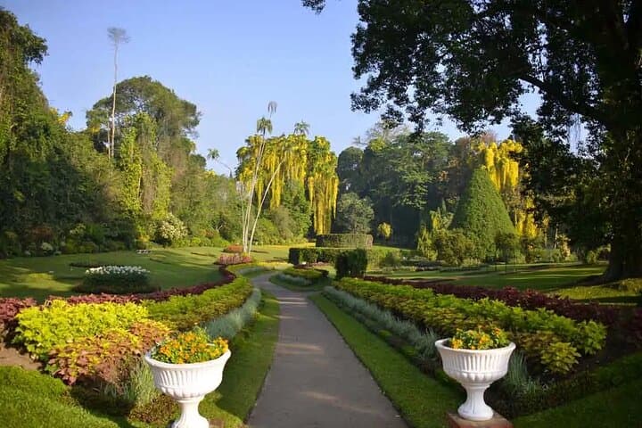 Best of Sri Lanka: 7-Day All-Inclusive Cultural & Wildlife Tour photo 6