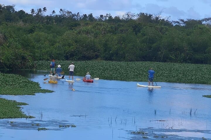 Mangrove to Lagoon Kayak & Paddleboard Adventure in Safata Bay, Samoa