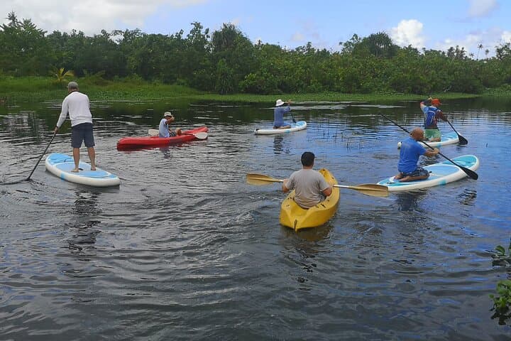 Mangrove to Lagoon Kayak & Paddleboard Adventure in Safata Bay, Samoa photo 6