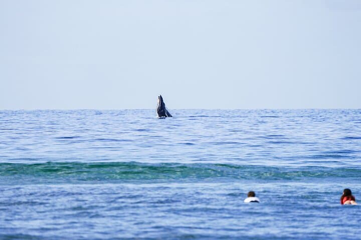 Private 2-Hour Surf Lessons in Maui with Experienced Coaches photo 2