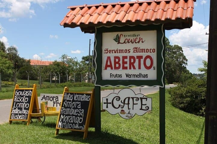 Witmarsum Colony Day Tour: German Mennonite Culture, Bakery Stops & Rural Walks from Curitiba