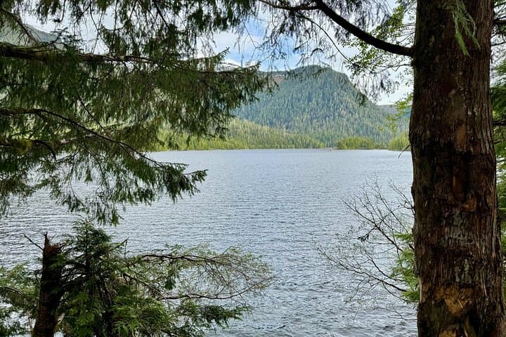 Connell Lake Trail: Guided Hike through Tongass National Forest from Ketchikan