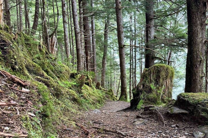 Connell Lake Trail: Guided Hike through Tongass National Forest from Ketchikan photo 2