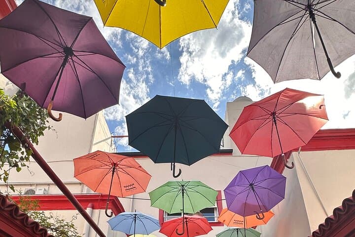South Buenos Aires Walking Tour: San Telmo, La Boca & Puerto Madero photo 1