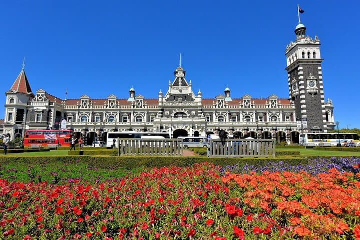 Dunedin Wildlife & Penguin Tour — Taiaroa Head, The OPERA and Peninsula Highlights photo 3