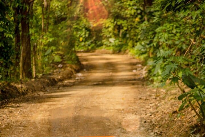 Punta Cana ATV & Buggie Ranch Tour: Macao Beach & Cave Cenote Adventure photo 3