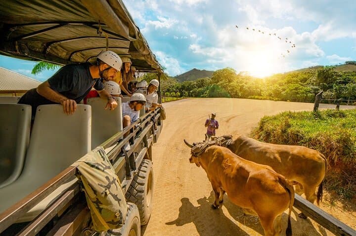 Punta Cana ATV & Buggie Ranch Tour: Macao Beach & Cave Cenote Adventure photo 5
