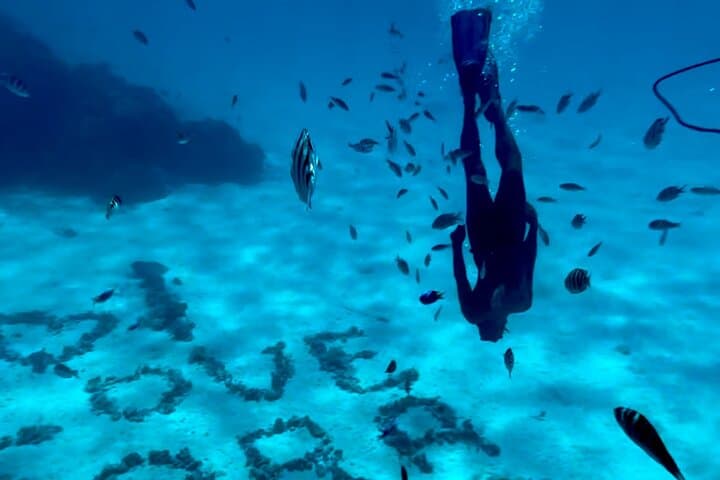 Bora Bora Full-Day Lagoon Tour with Motu BBQ and Snorkeling photo 2