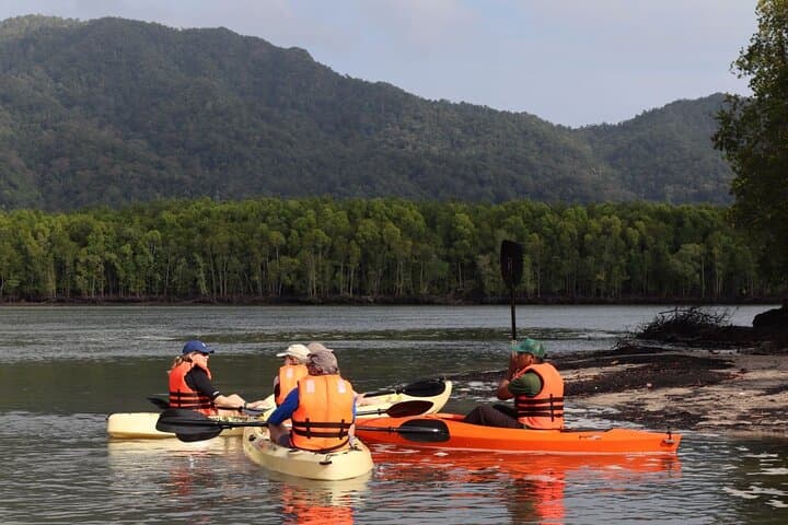 Mangrove Kayaking Tour in Langkawi: Kubang Badak Mangrove & Gua Pinang photo 2
