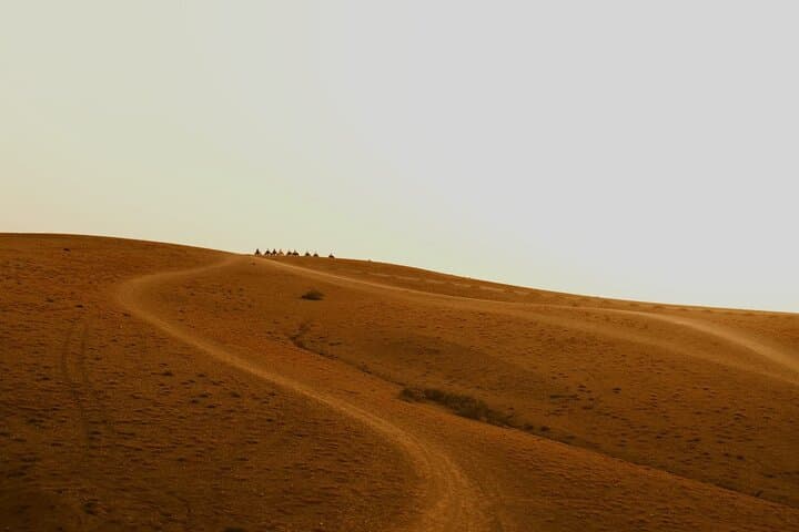 Sunset Camel Ride and Berber Camp Dinner in Agafay Desert from Marrakech photo 3