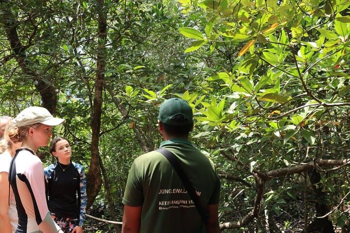 Mangrove Kayaking Tour in Langkawi: Kubang Badak Mangrove & Gua Pinang photo 3