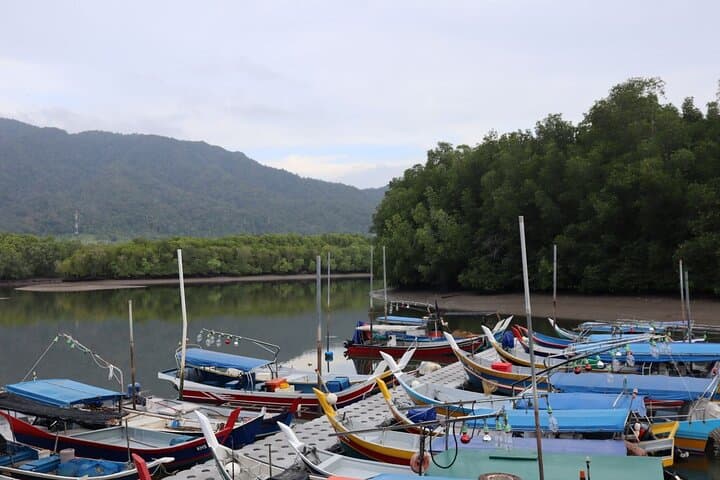Mangrove Kayaking Tour in Langkawi: Kubang Badak Mangrove & Gua Pinang photo 4