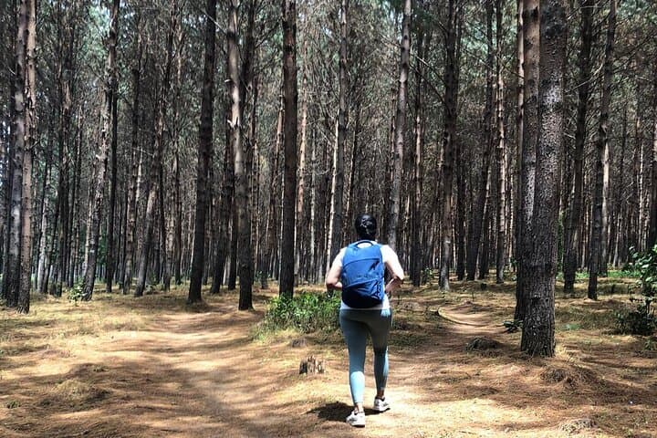 Kilimanjaro Wanderlust: Rainforest Day Hike Near Moshi photo 2