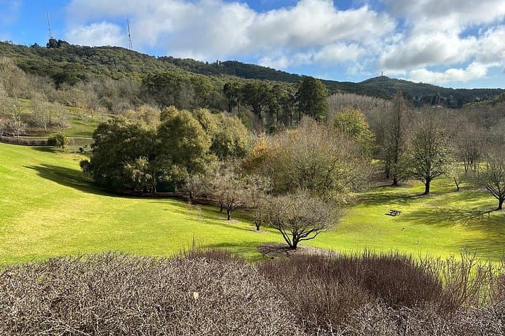 Hahndorf and Adelaide Hills Wildlife Wonders Day Tour photo 1