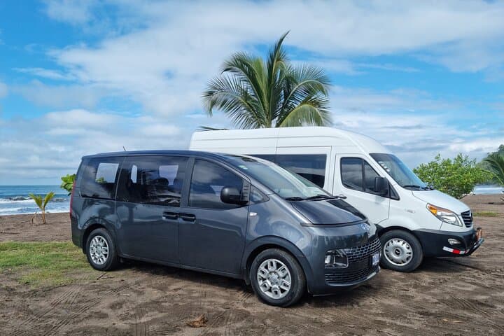 Private Transfer from SJO to Manuel Antonio with Crocodile Bridge Stop photo 6