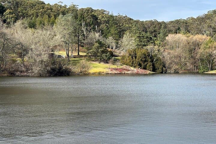 Hahndorf & Adelaide Hills Wildlife Tour from Adelaide photo 2