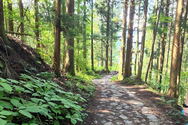 Walk the Nakasendo: Samurai Trail Tour from Nagoya to Magome & Tsumago photo 2