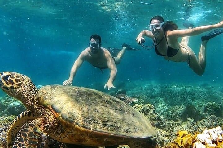 Private Gili Air Snorkel: 4 Top Spots, Turtles & Glass-Bottom Views photo 2